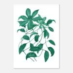 Floralies green C2 Art Print Carta Premium